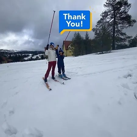 Ducic Villa Zlatibor