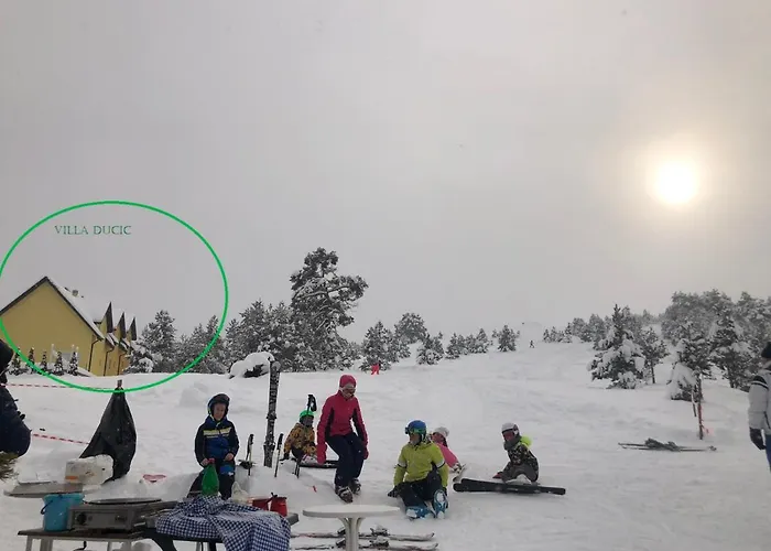 别墅 杜西兹别墅 *