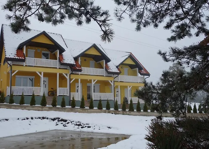 别墅 杜西兹别墅 *