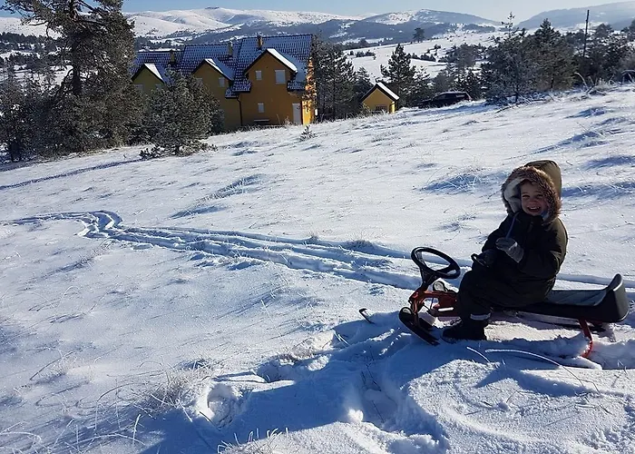 别墅 杜西兹别墅